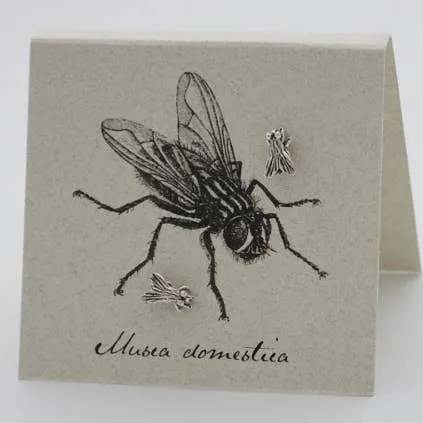 Fly Earrings in Sterling Silver