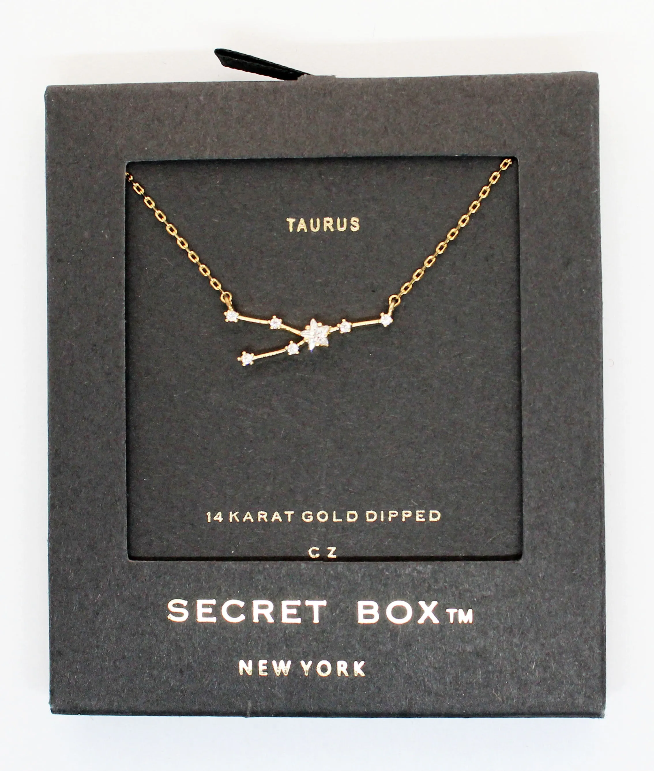 Horoscopes Secret Box Necklace