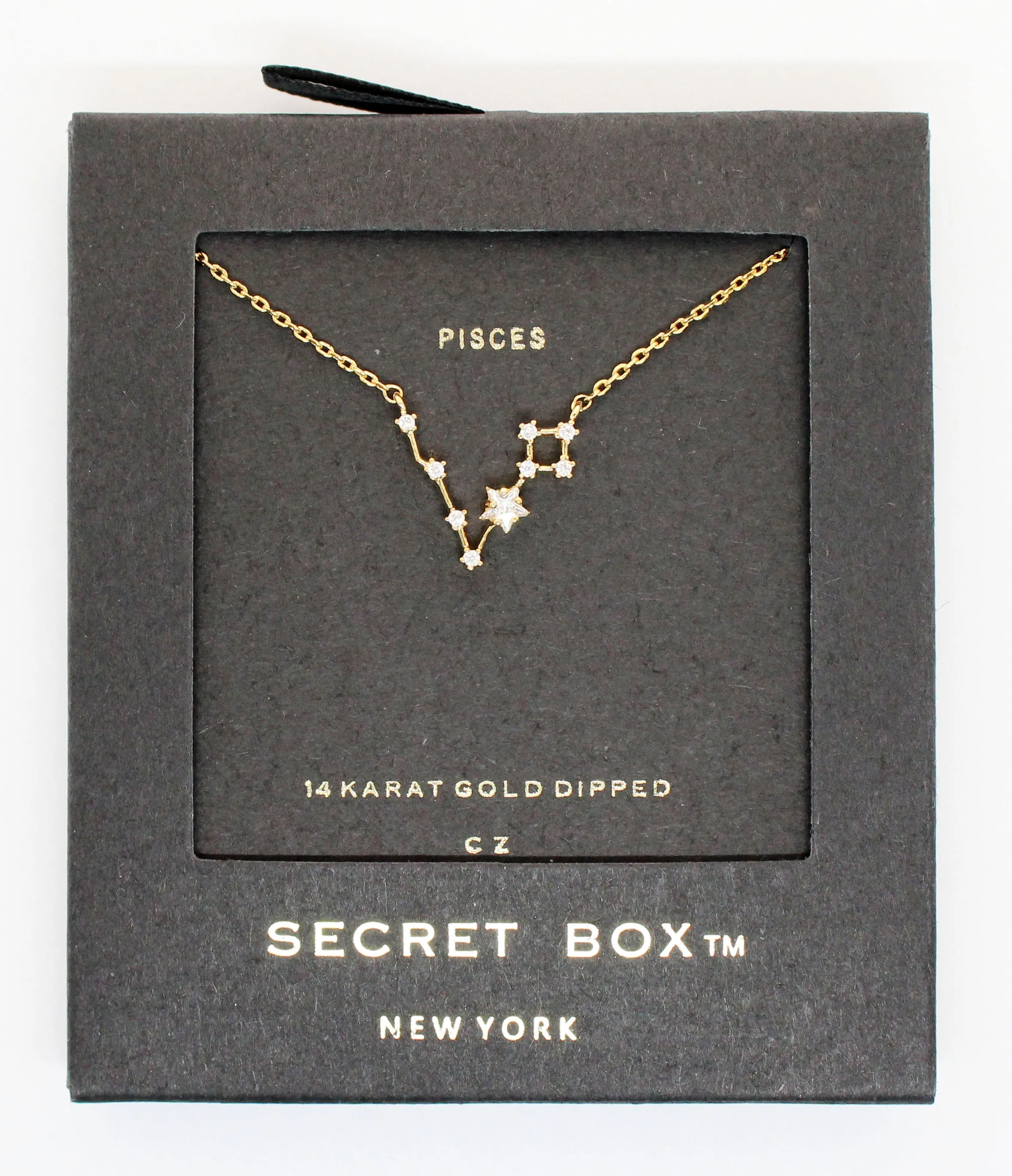Horoscopes Secret Box Necklace