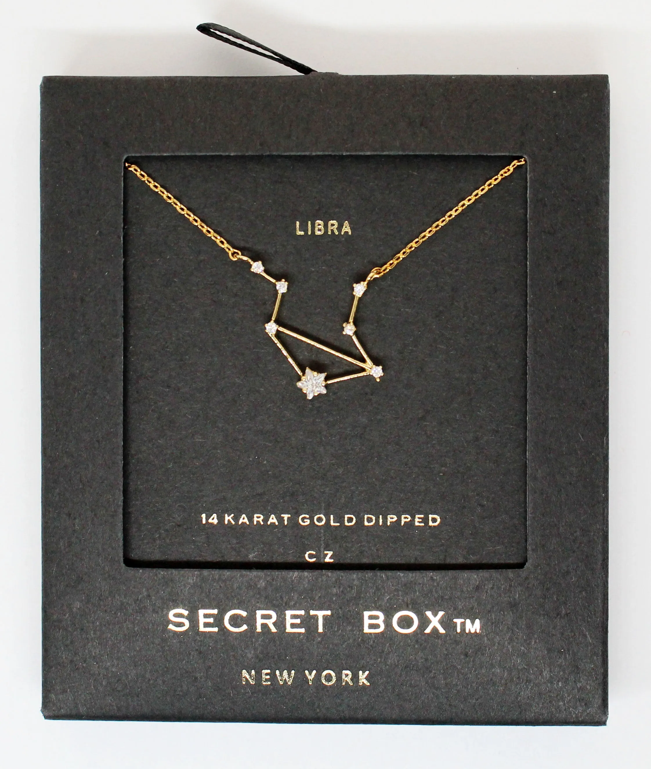 Horoscopes Secret Box Necklace