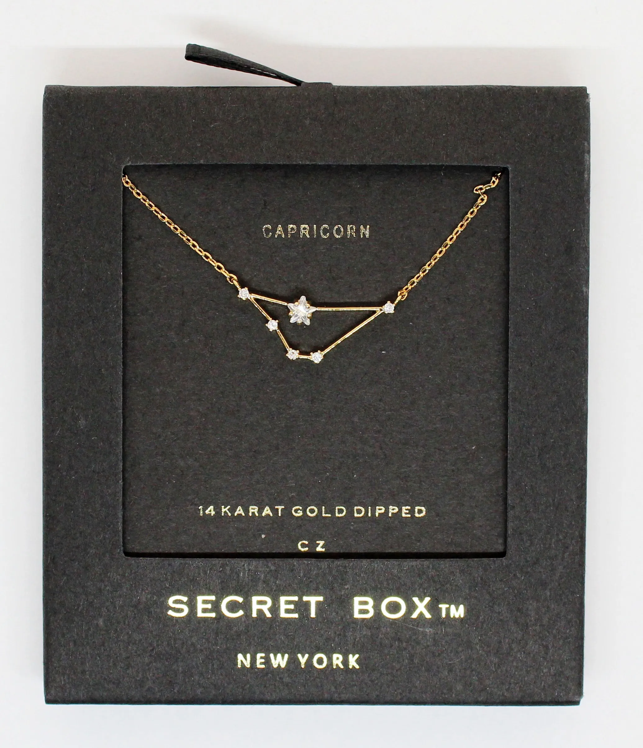 Horoscopes Secret Box Necklace
