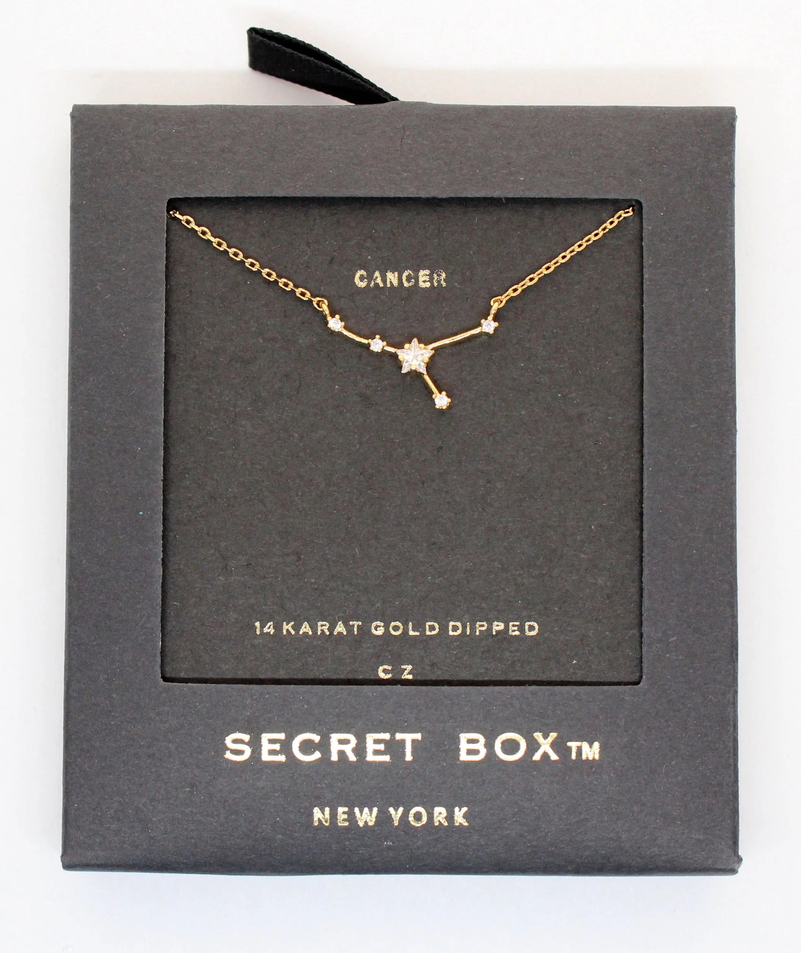Horoscopes Secret Box Necklace