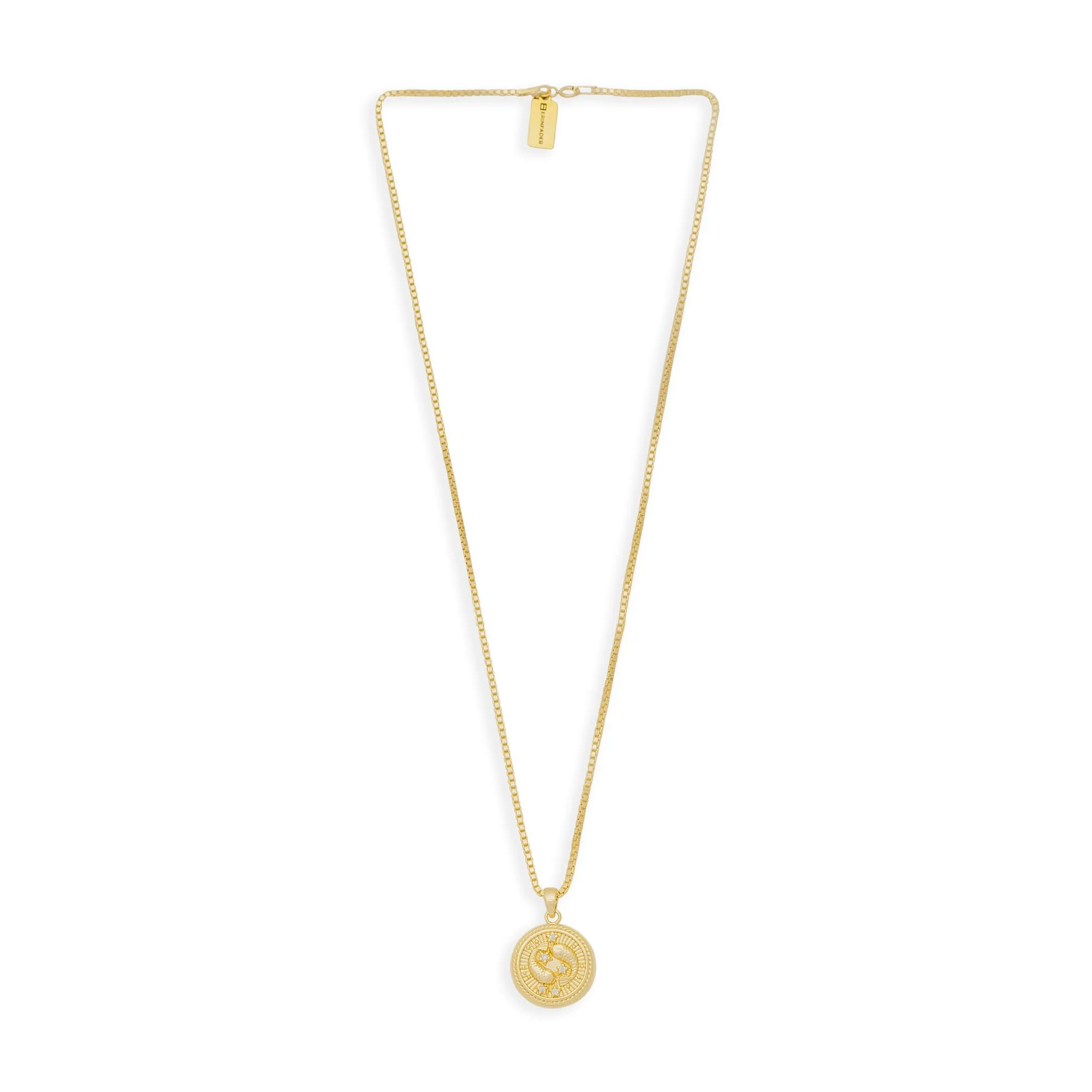 In the Stars Zodiac Necklace