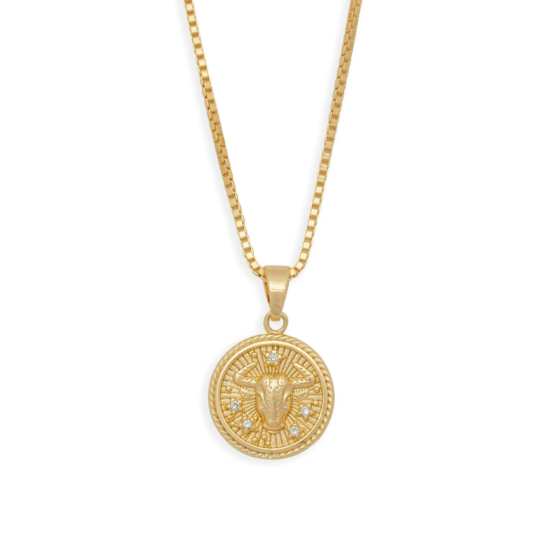 In the Stars Zodiac Necklace