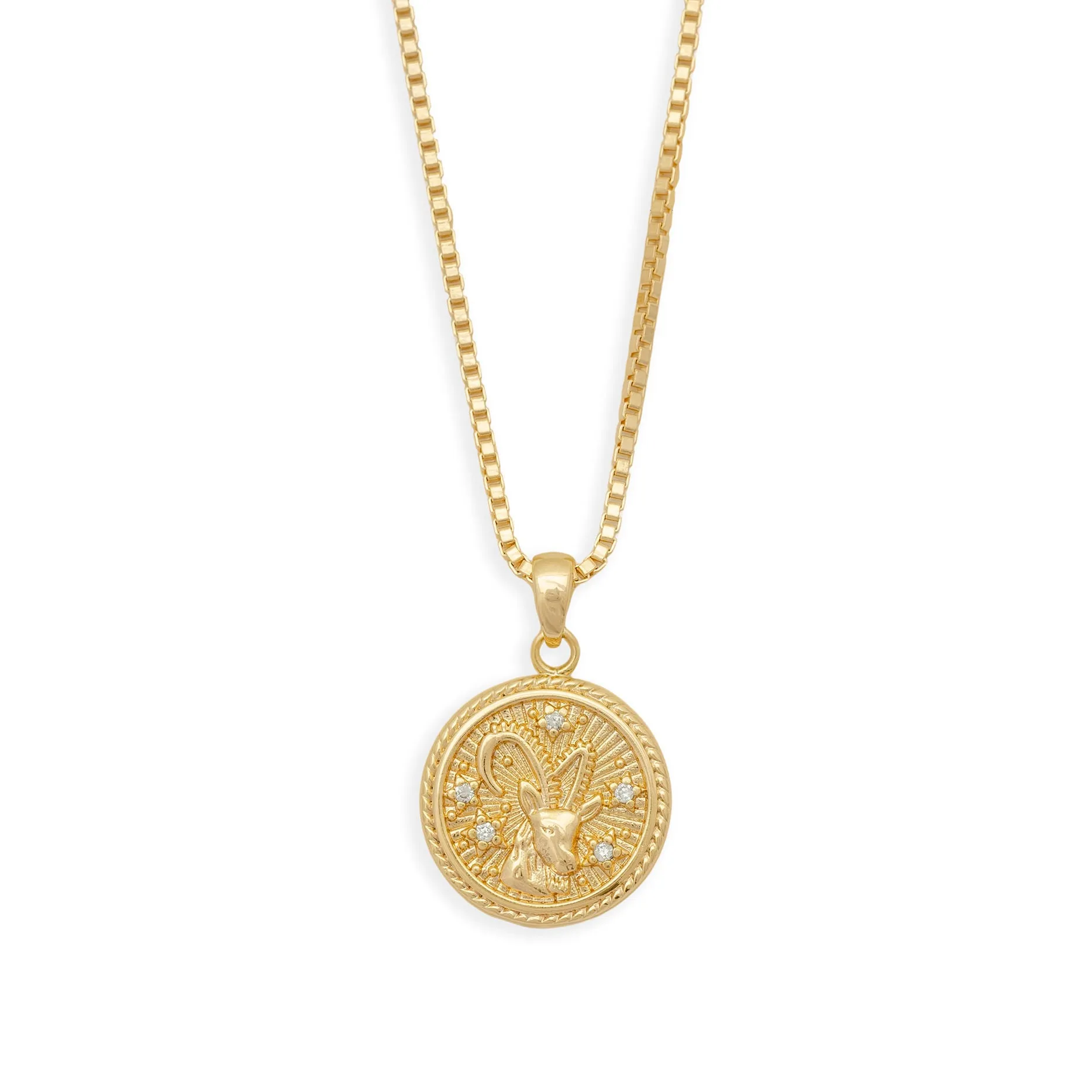 In the Stars Zodiac Necklace