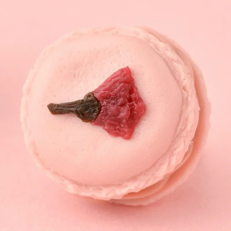 Petit SAKURA Macaron Clip-On Earrings (Pair)【Japan Jewelry】