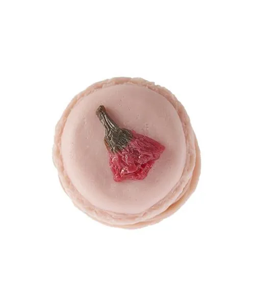 Petit SAKURA Macaron Clip-On Earrings (Pair)【Japan Jewelry】