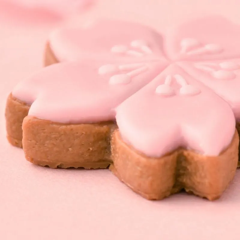 SAKURA Sugar Cookie Hair Rubber Band【Japan Jewelry】