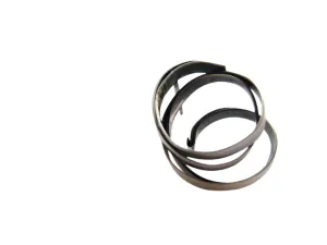 Small Mo Silver Earrings