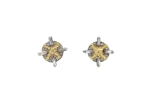 Stud Earrings