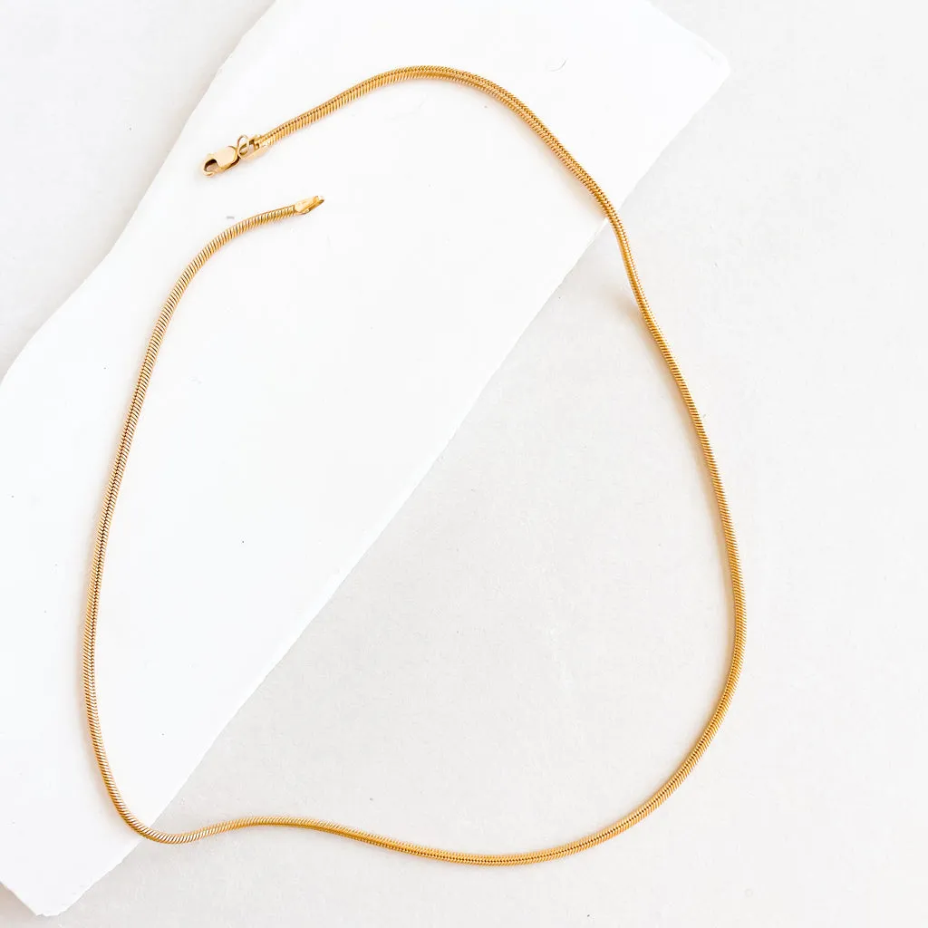 Thick Snake Chain